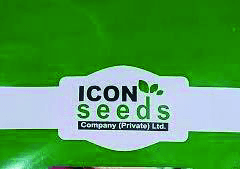 Icon Seeds