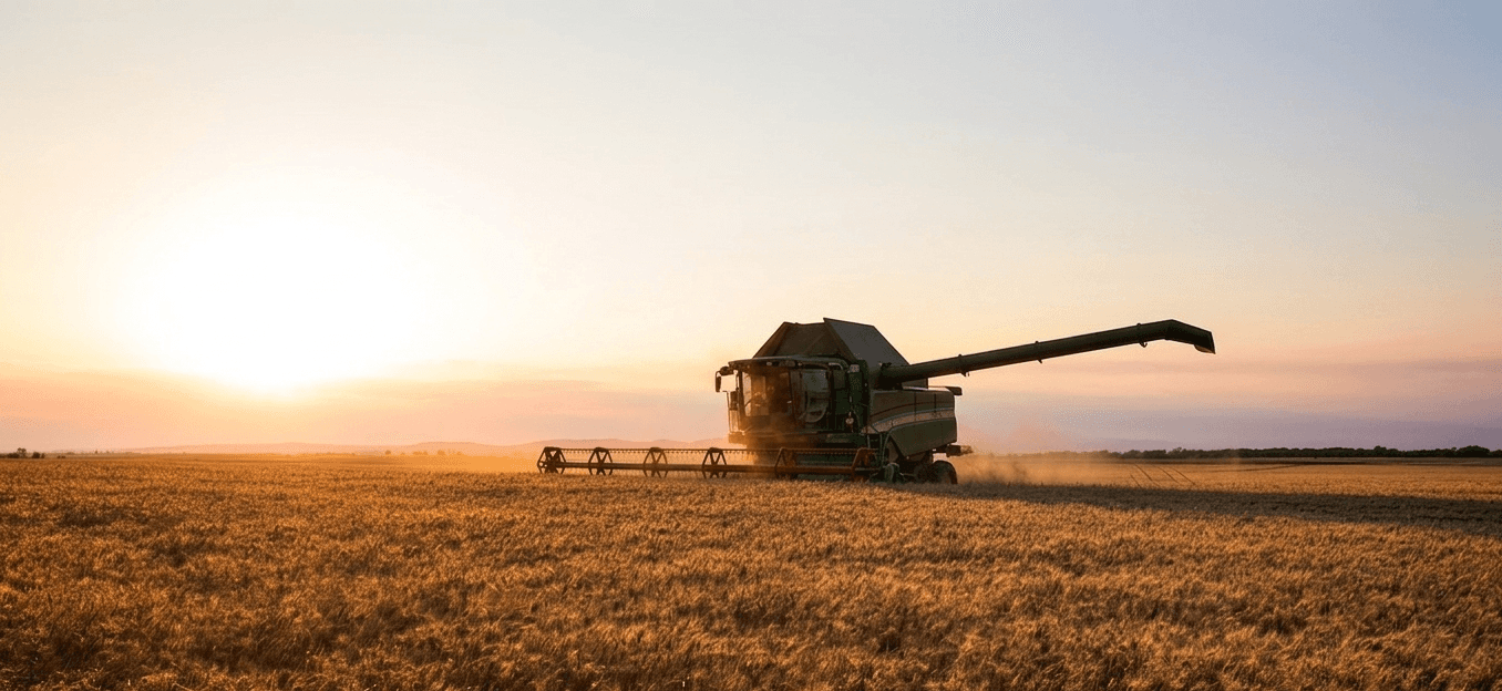 Combine harvester working a wheat field, dust trailing in low light